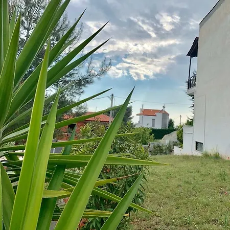 Summer Luxury With Sea View Metamorfosi (Sithonia)